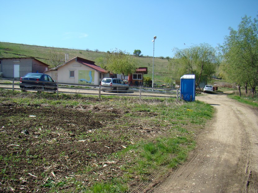 DSC04002 (Copy).JPG