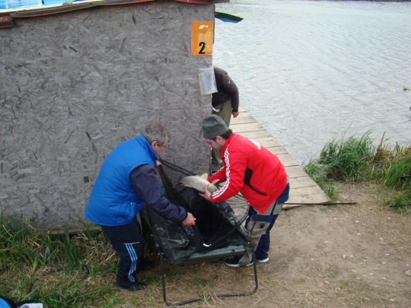 DSC04026 (Copy).JPG