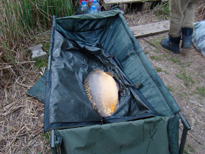 DSC04059 (Copy).JPG