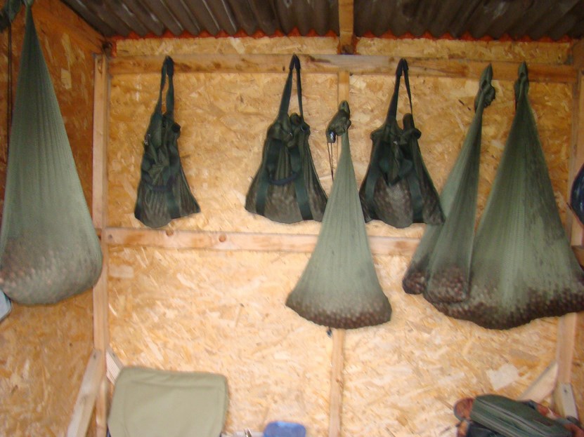 DSC04172 (Copy).JPG
