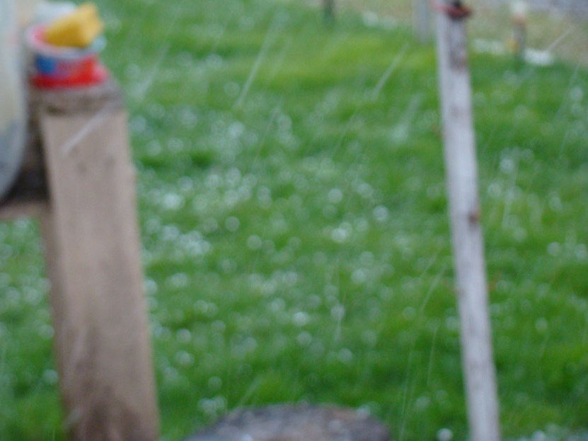 DSC04276 (Copy).JPG