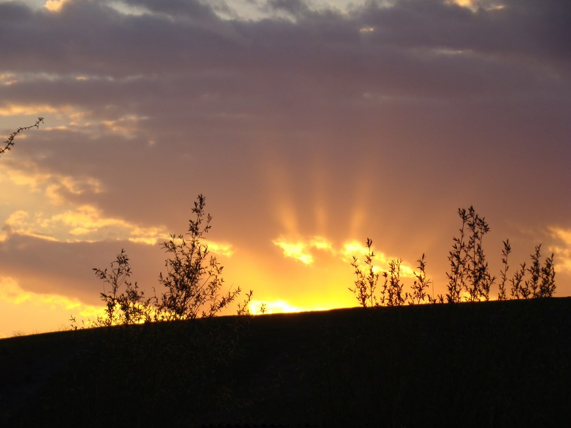 DSC04350 (Copy).JPG