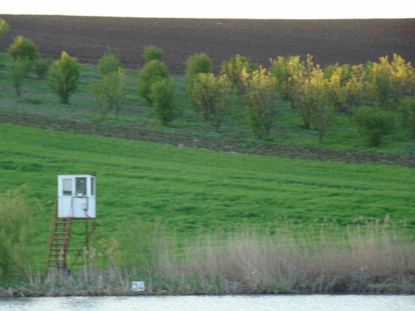 DSC04485 (Copy).JPG