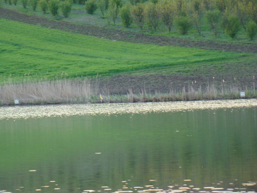 DSC04515 (Copy).JPG