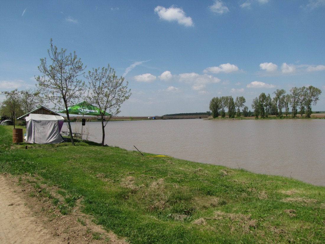 IMG_3970 (Copy).JPG