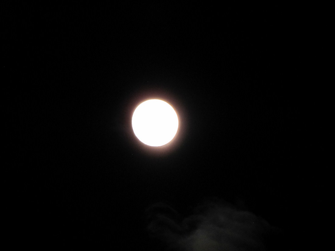 IMG_4094 (Copy).JPG