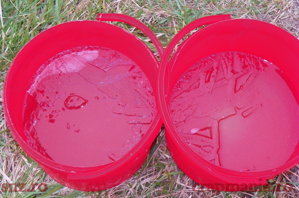100_0126.jpg
