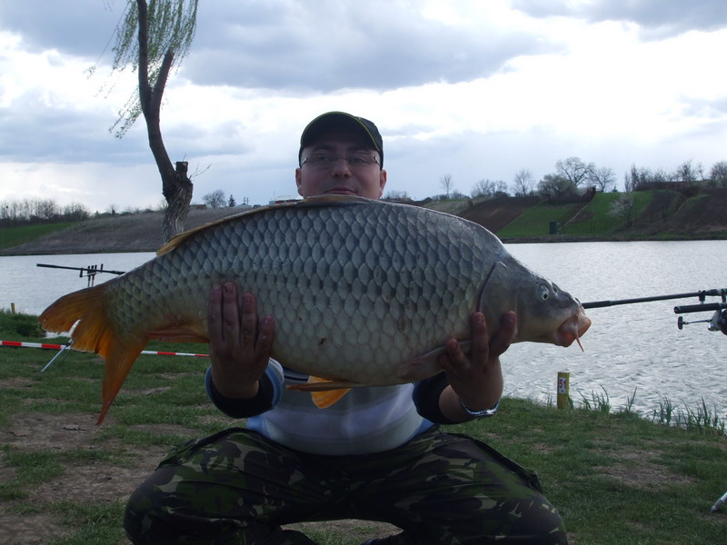 DSCF5649.jpg