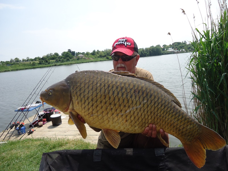19kg.jpg