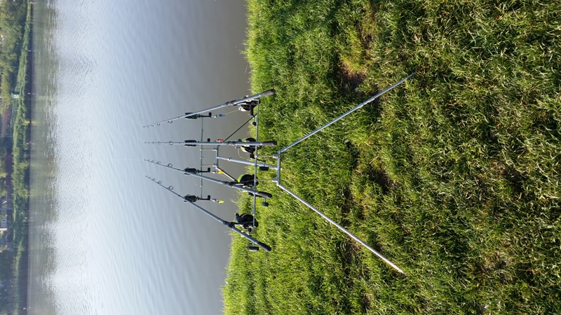 20140507_080640.jpg