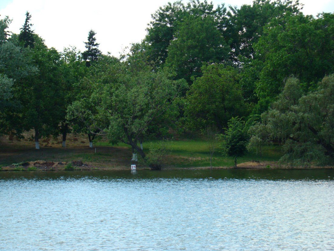 DSC04866 (Copy).JPG