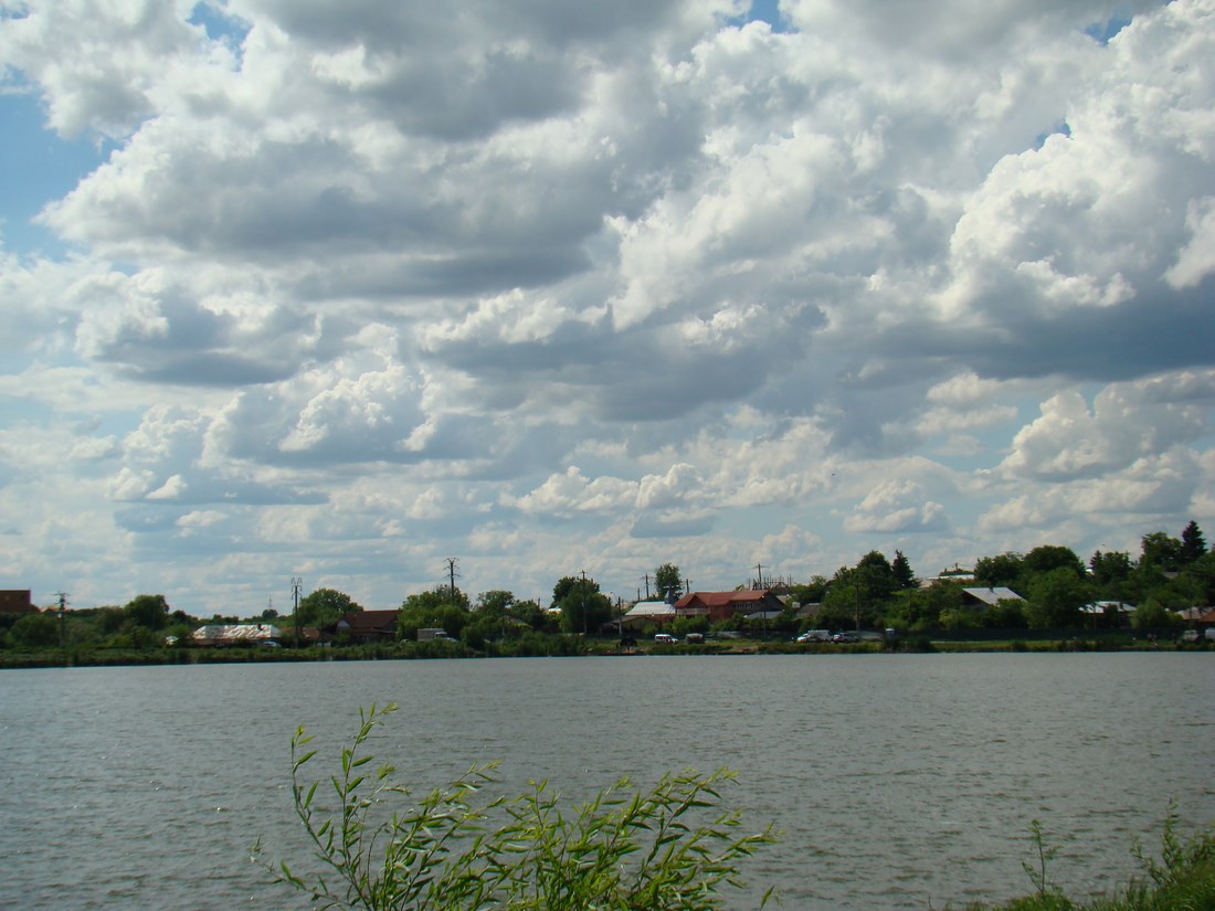 DSC04938 (Copy).JPG