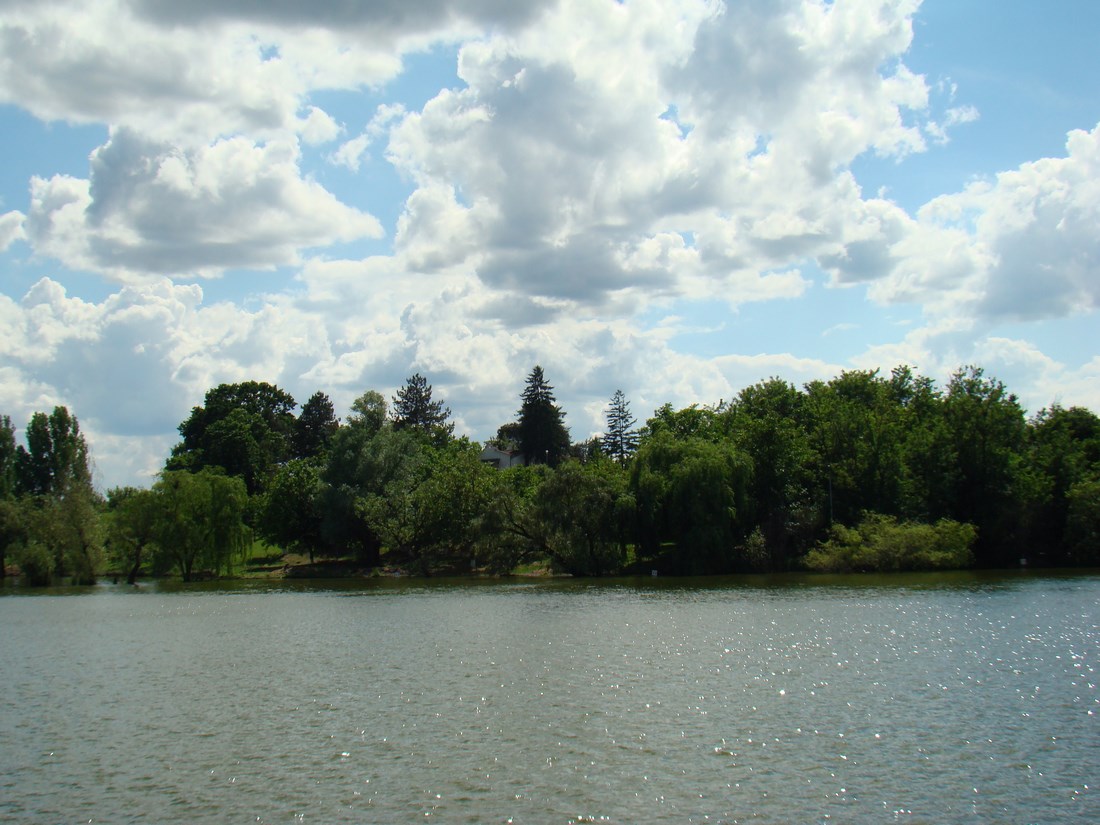 DSC04939 (Copy).JPG