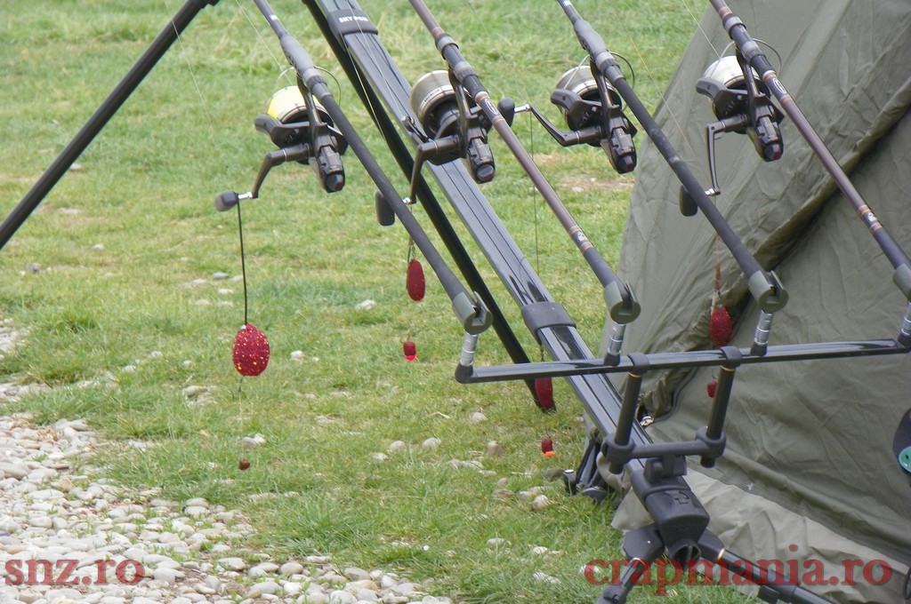 100_0508.jpg
