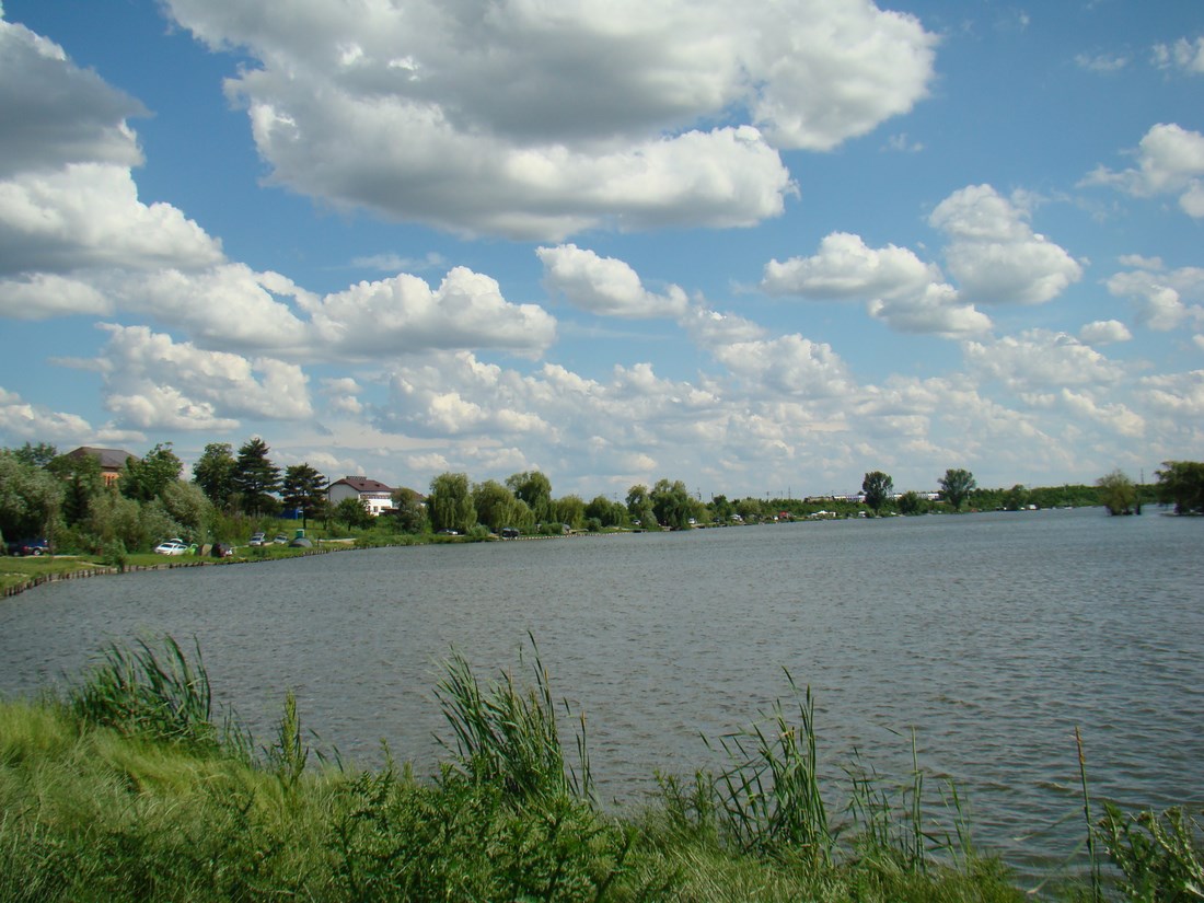 DSC04960 (Copy).JPG
