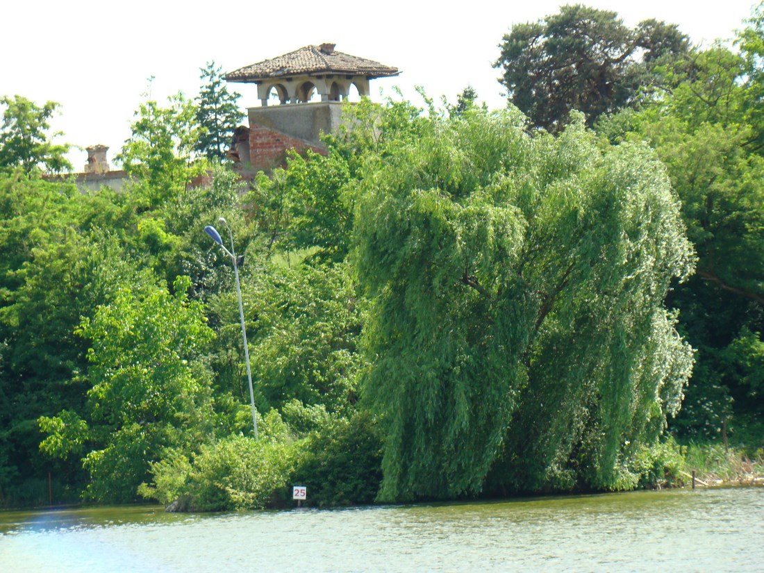 DSC04962 (Copy).JPG