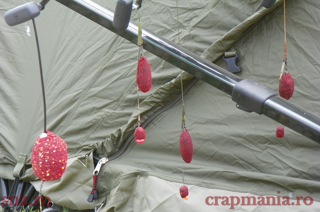 100_0510.jpg