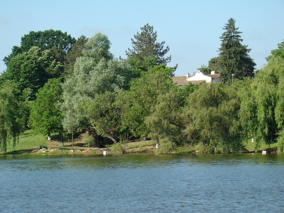 DSC05189 (Copy).JPG