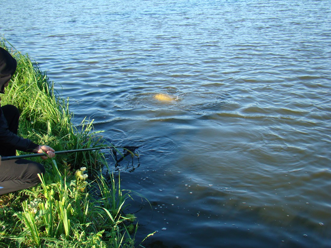DSC05144 (Copy).JPG