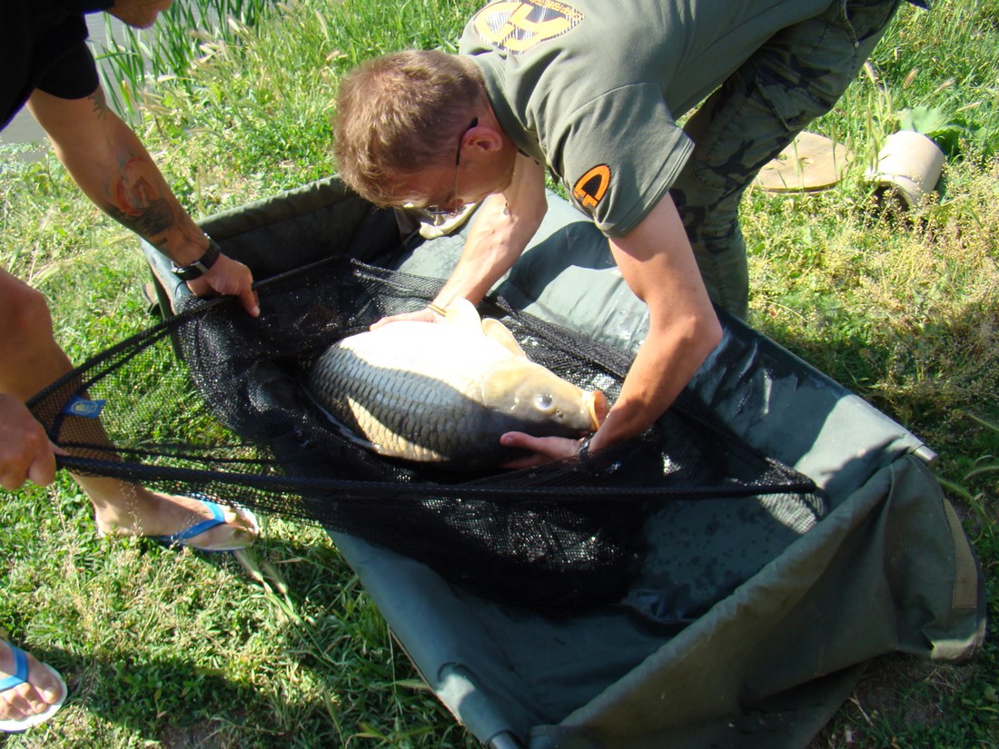 DSC05194 (Copy).JPG