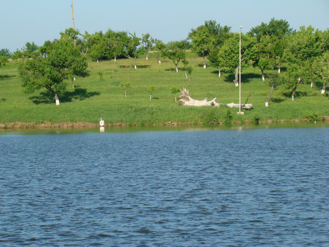 DSC05165 (Copy).JPG