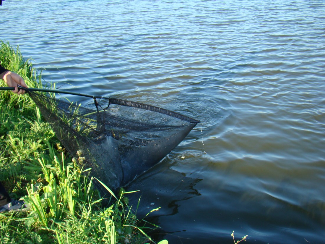 DSC05143 (Copy).JPG
