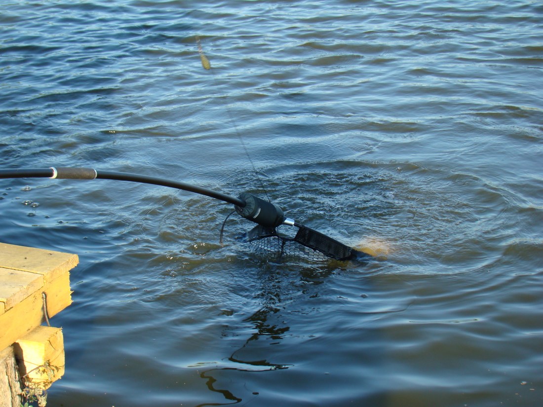 DSC05138 (Copy).JPG