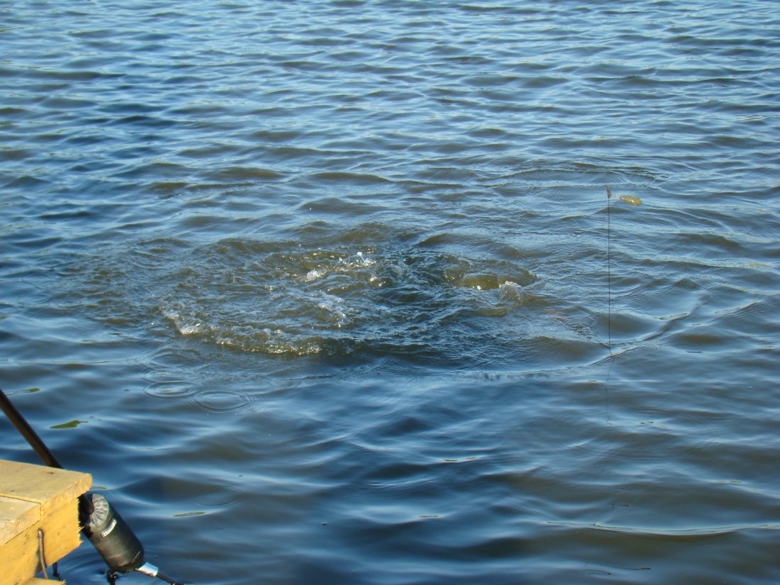 DSC05137 (Copy).JPG