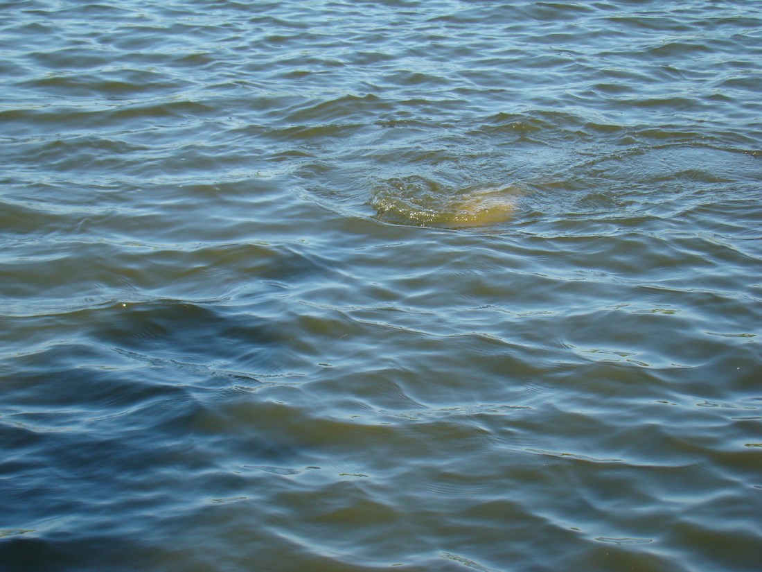 DSC05158 (Copy).JPG