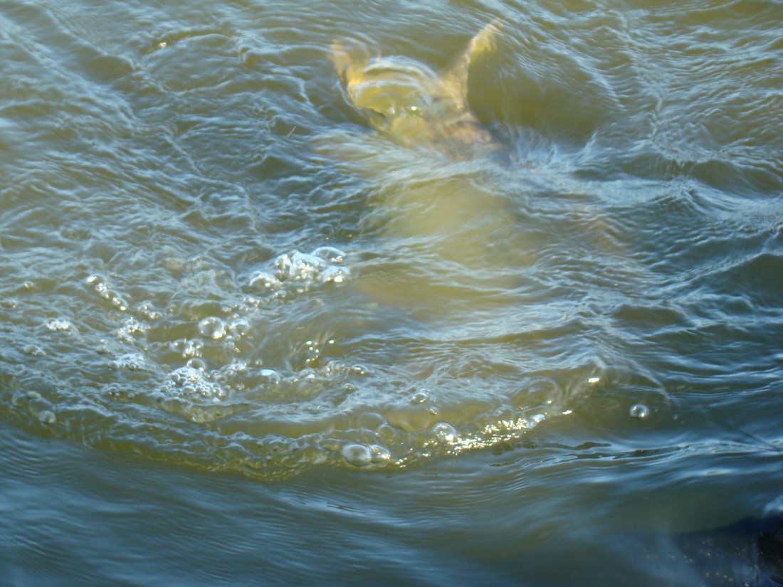 DSC05145 (Copy).JPG