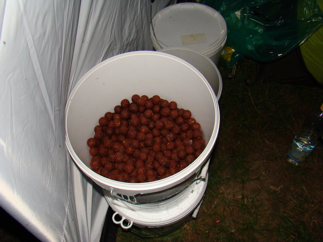 DSC05094 (Copy).JPG