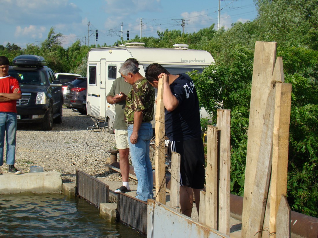 DSC05225 (Copy).JPG