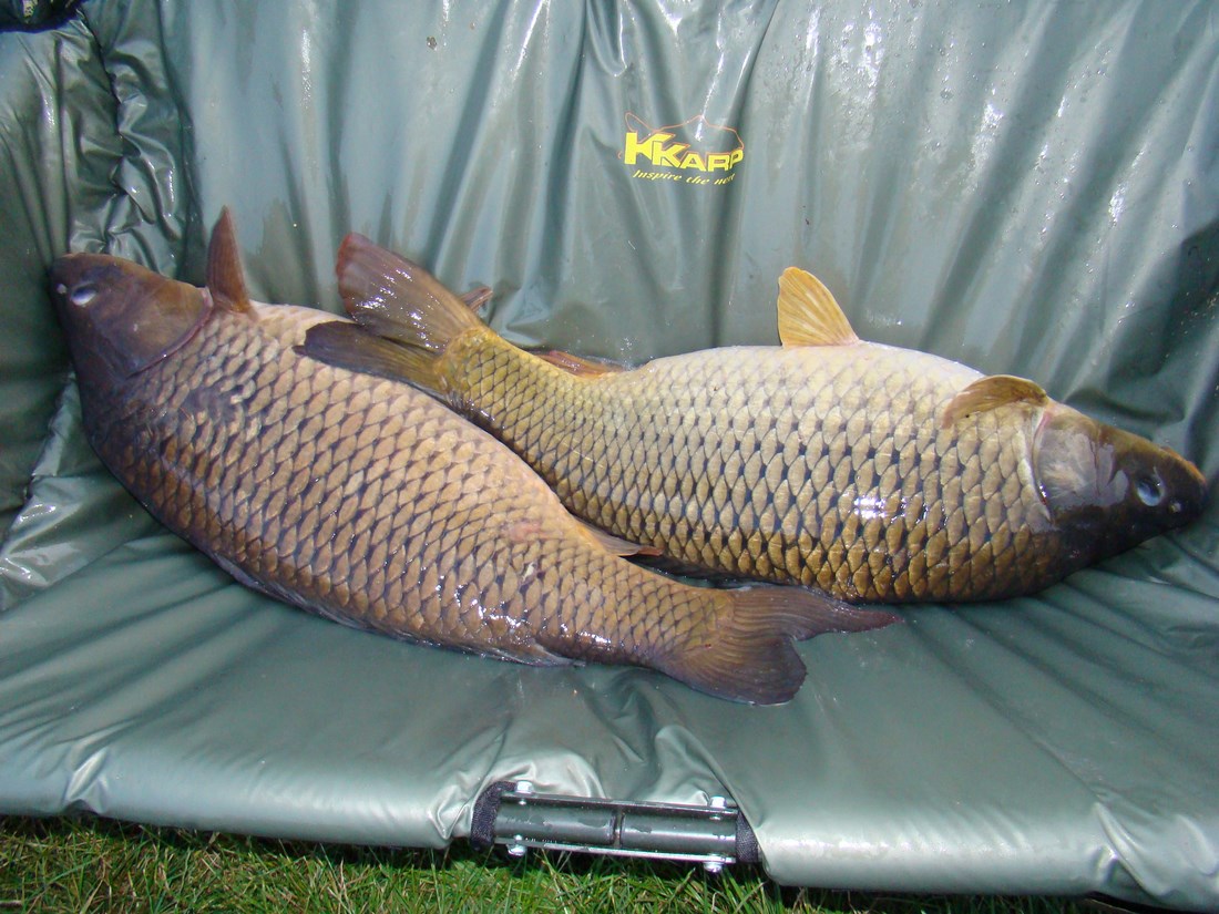 DSC05314 (Copy).JPG