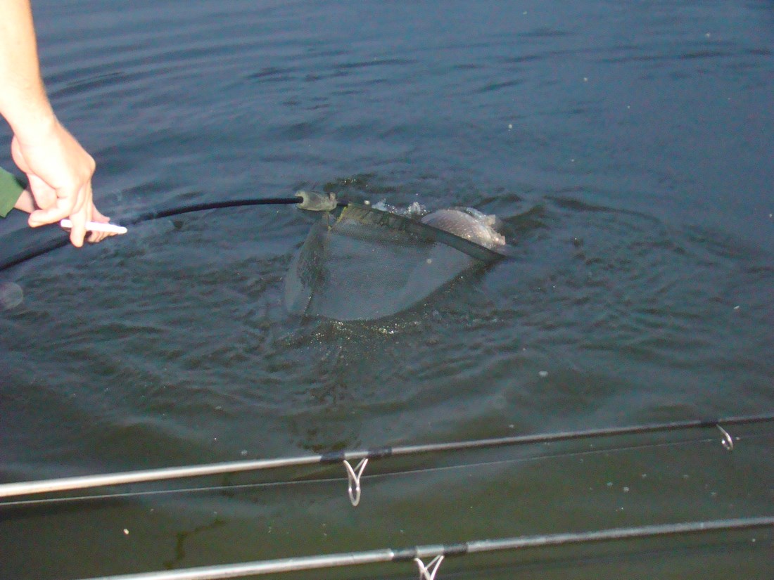DSC05323 (Copy).JPG