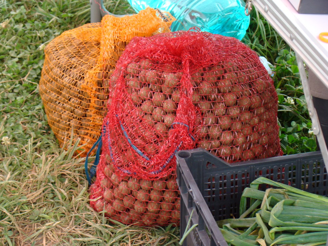 DSC05432 (Copy).JPG