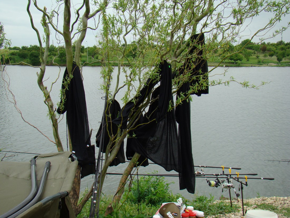 DSC05429 (Copy).JPG