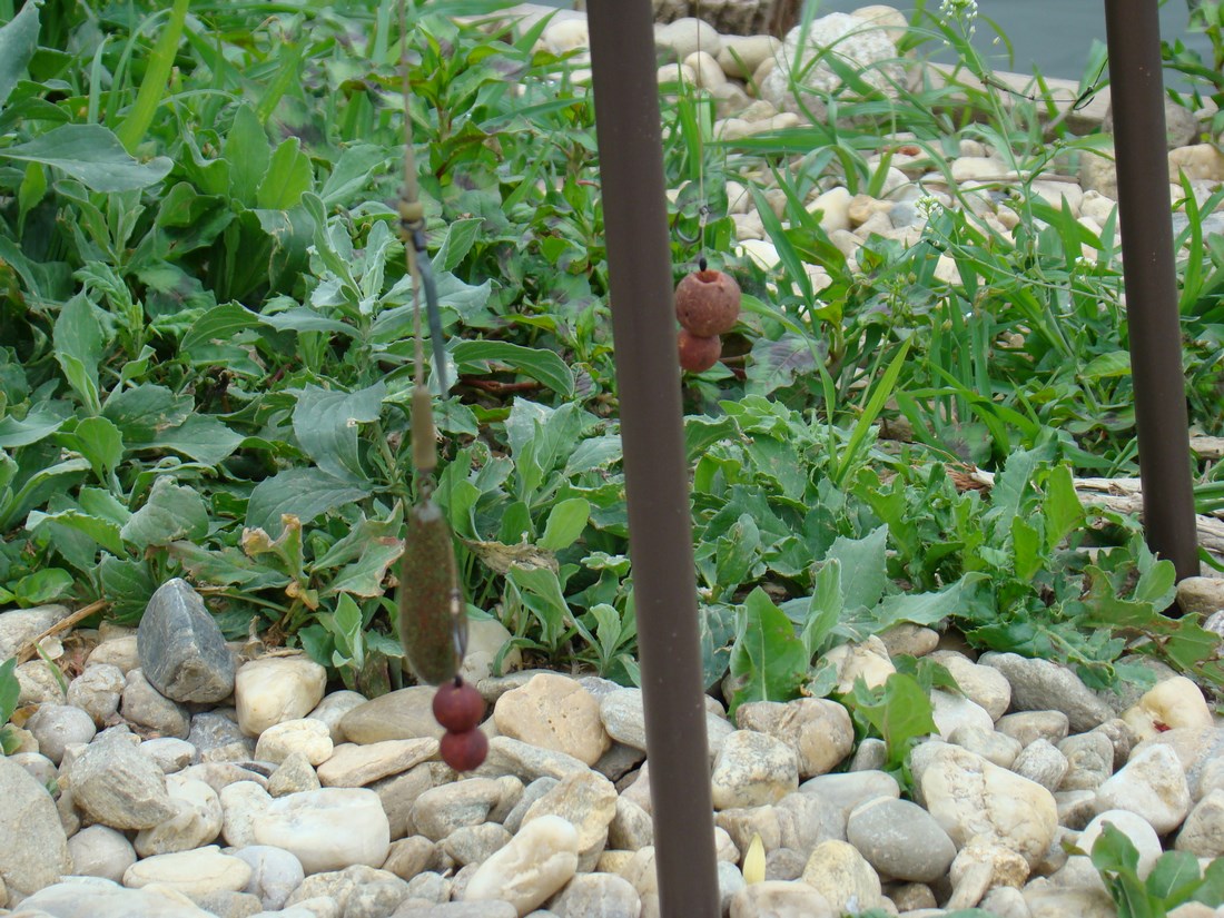 DSC05423 (Copy).JPG