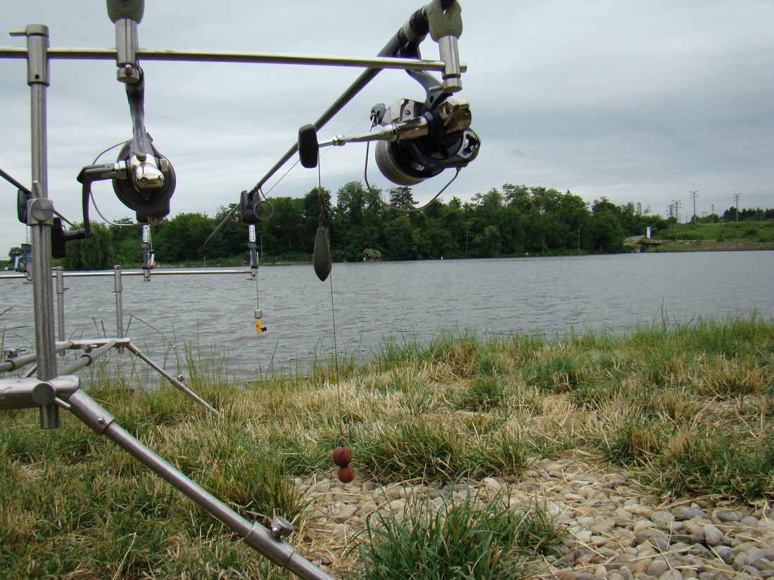 DSC05379 (Copy).JPG