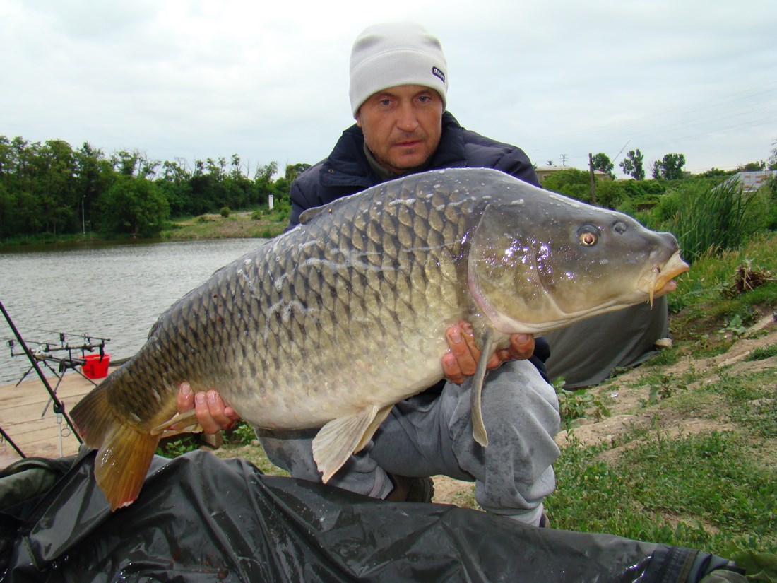 DSC05347 (Copy).JPG