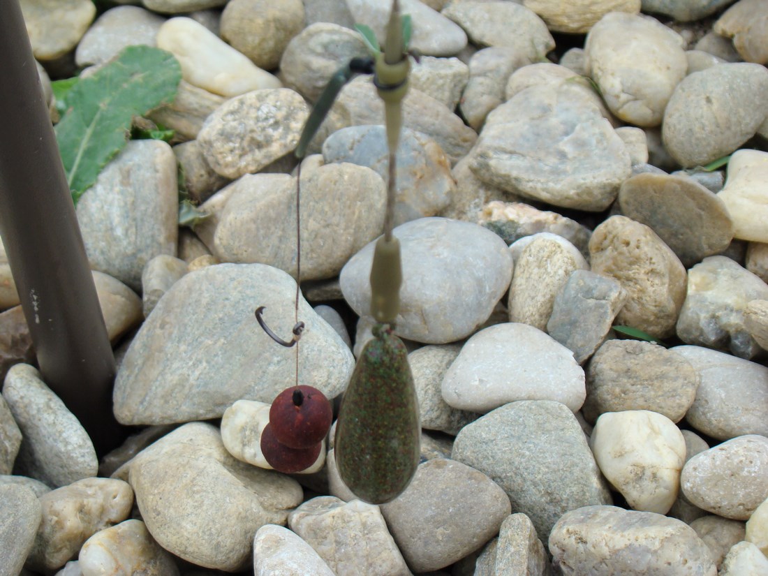 DSC05424 (Copy).JPG