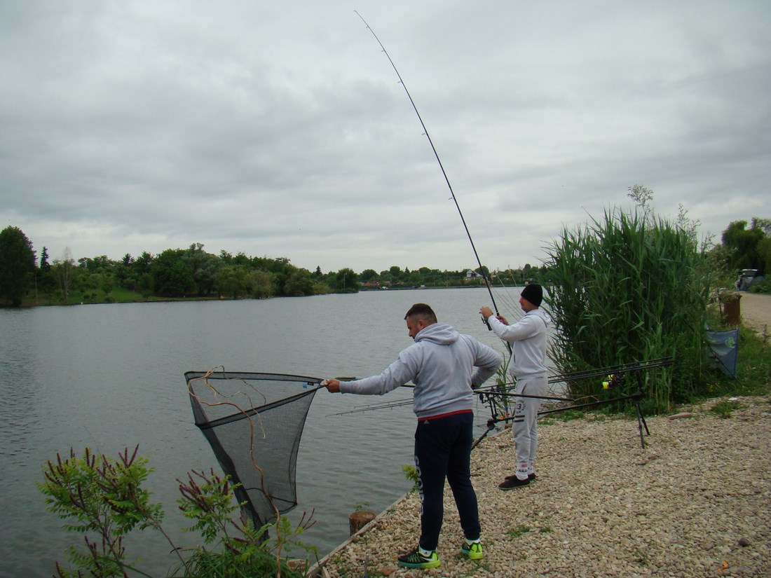 DSC05416 (Copy).JPG
