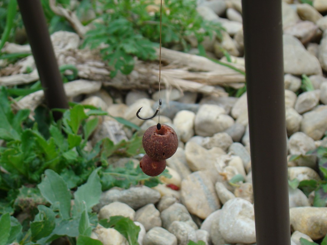 DSC05426 (Copy).JPG