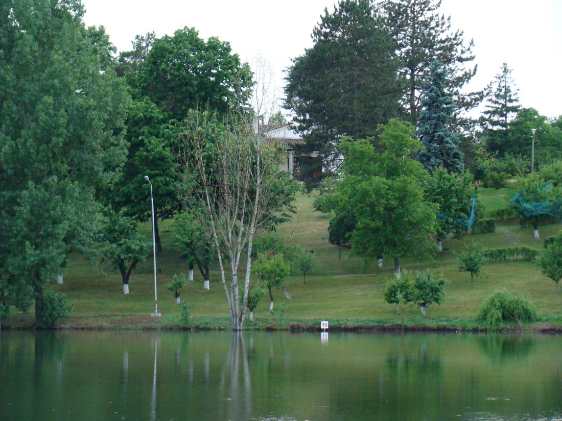 DSC05553 (Copy).JPG