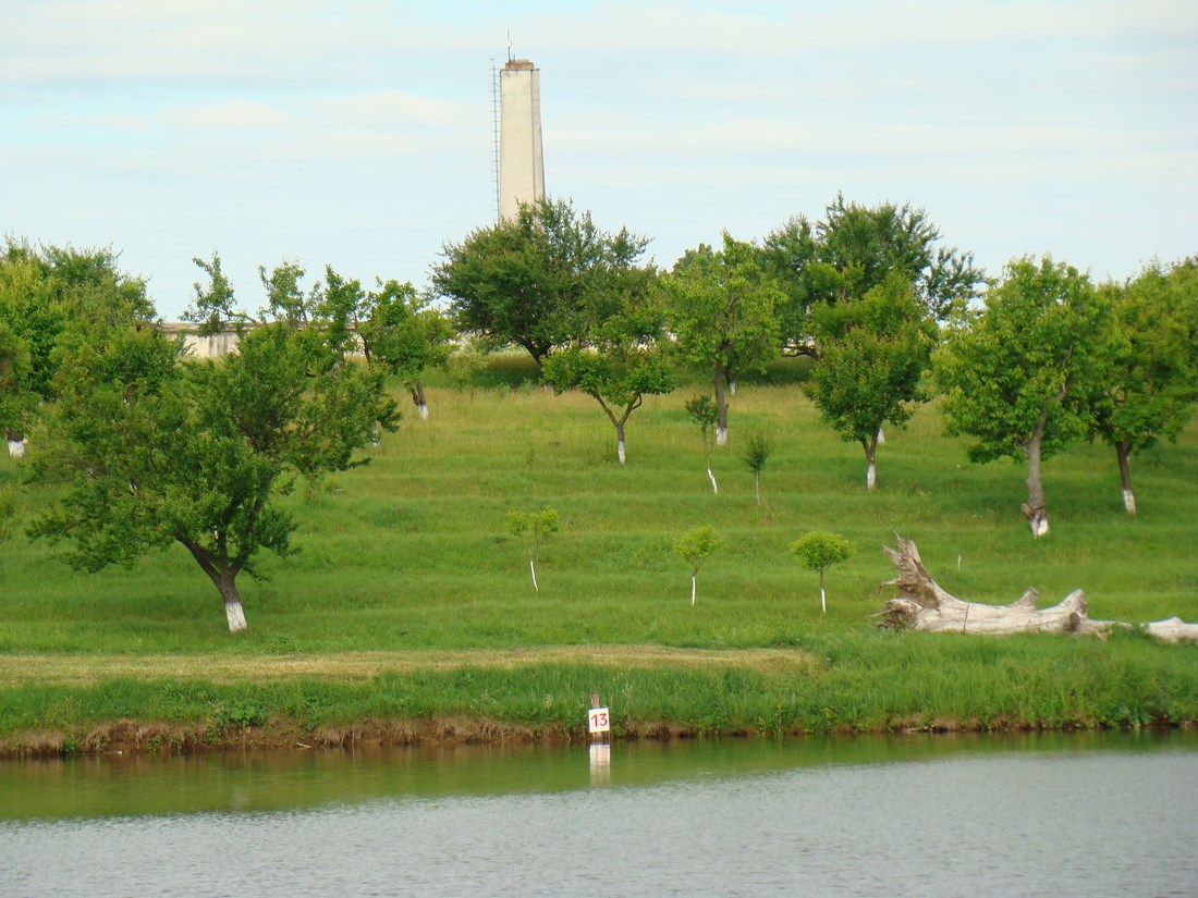 DSC05679 (Copy).JPG