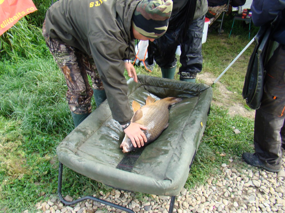 DSC05698 (Copy).JPG