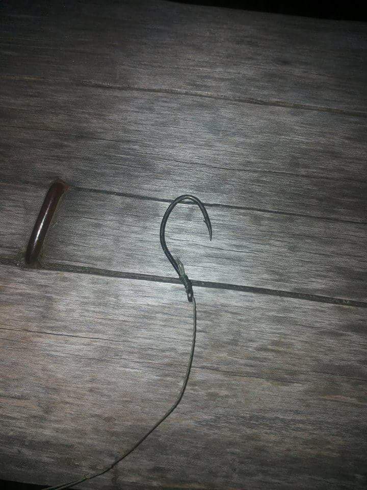 received_958785660809771.jpeg