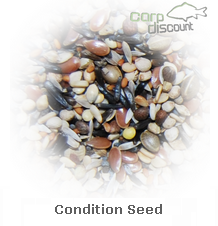 condition_seed.png