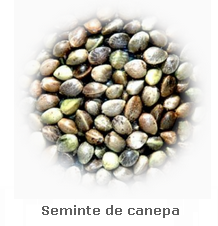 seminte_de_canepa.png