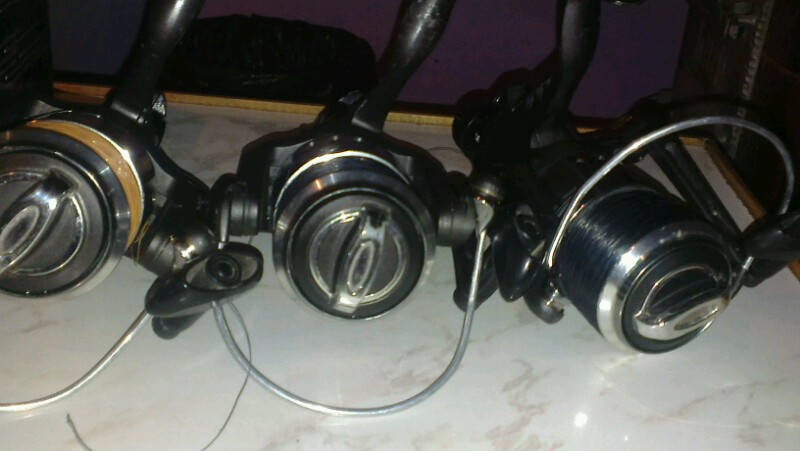 IMAG0558-800x451.jpg