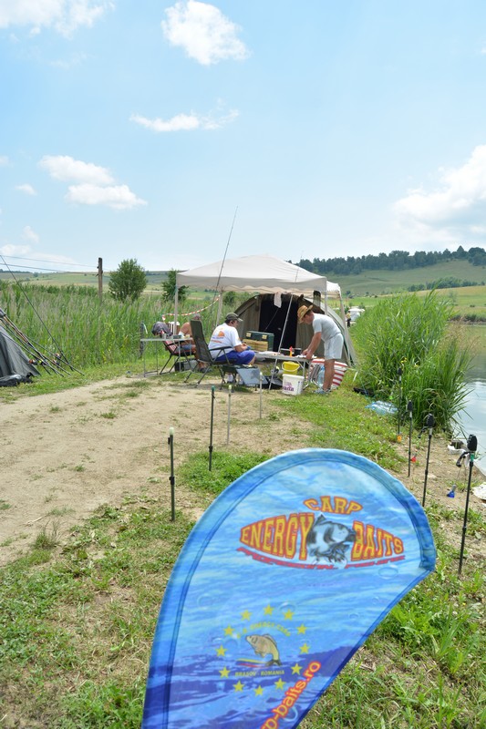 DSC_3985.jpg